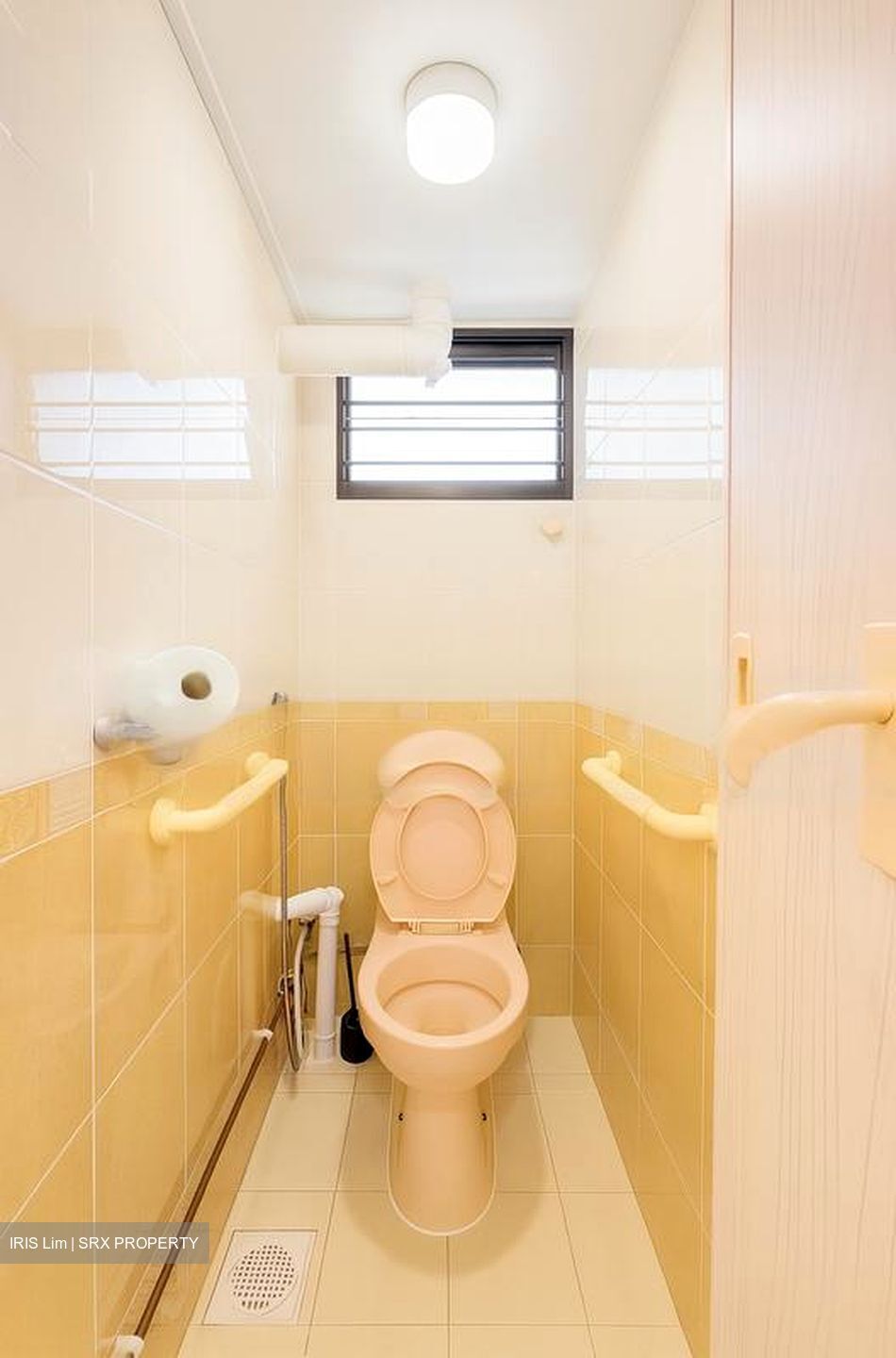 Blk 40 Telok Blangah Rise (Bukit Merah), HDB 4 Rooms #479774851